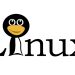 VPS Linux Murah Indonesia: Solusi Terjangkau dengan Teknologi Terbaik
