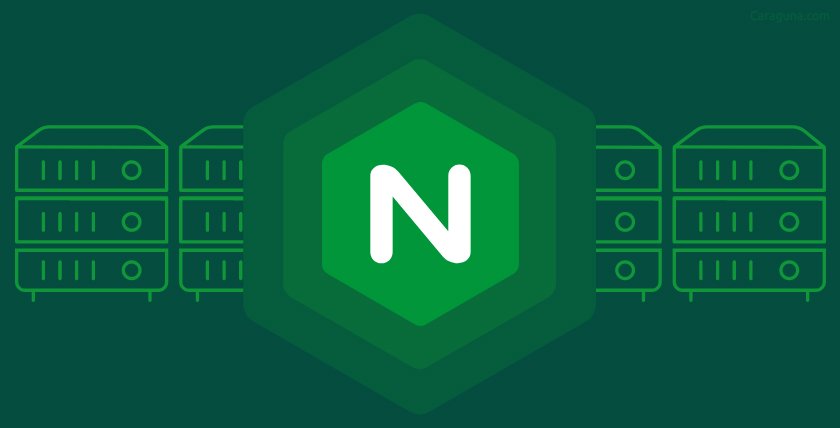 Memahami Nginx: Web Server dan Proxy Server yang Efisien